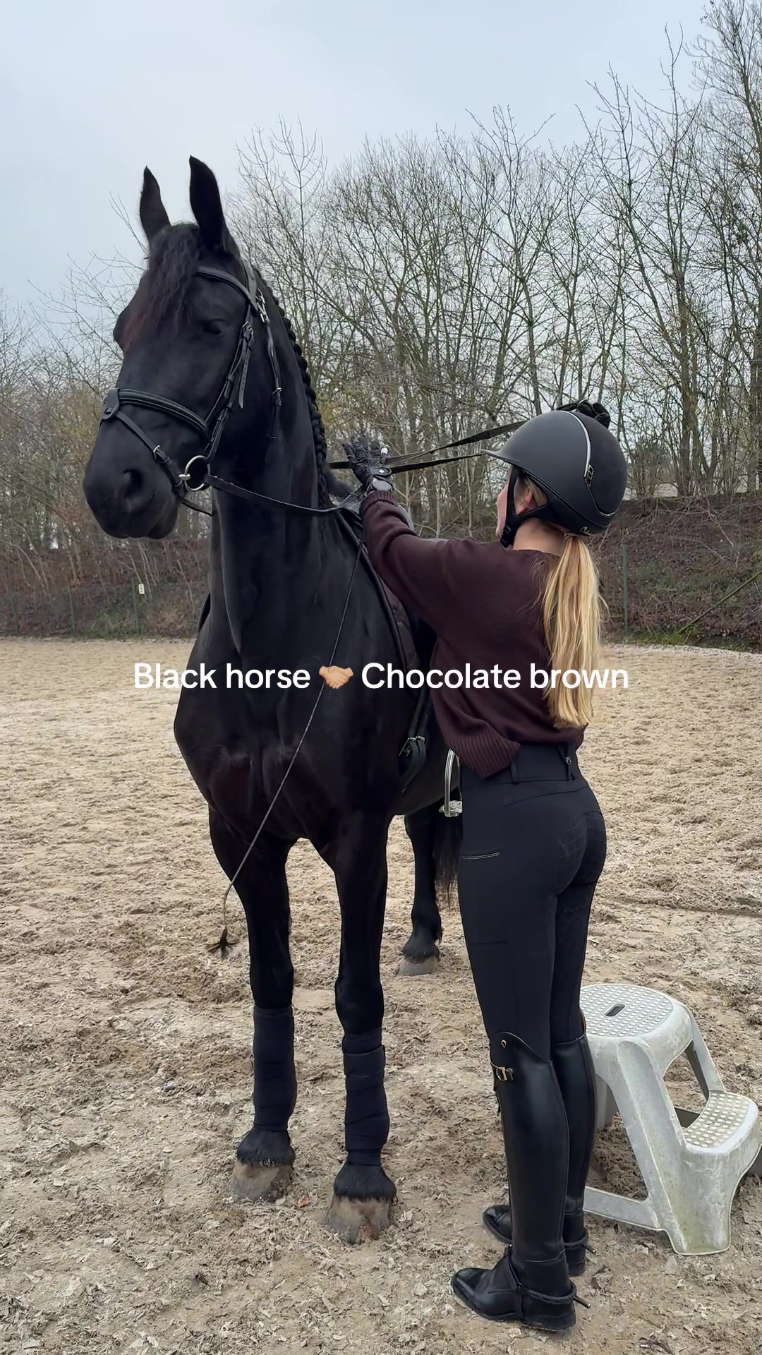 @Phoebe Tack Dressage