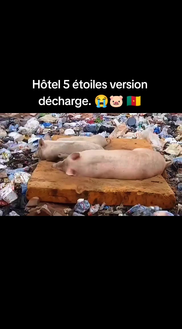 @LÉONEL