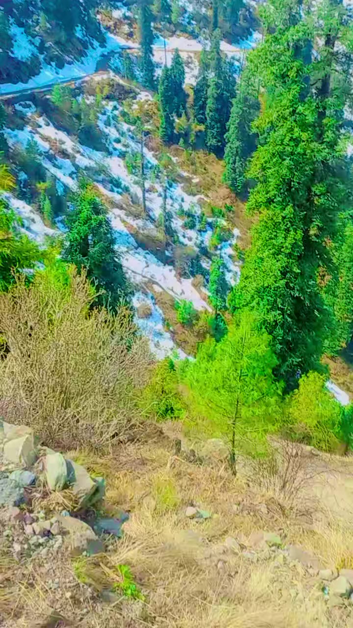 @riazmagray