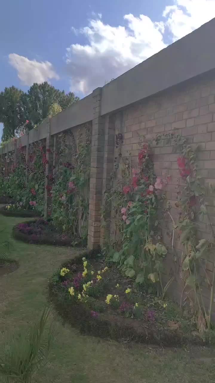 @Amankhan313