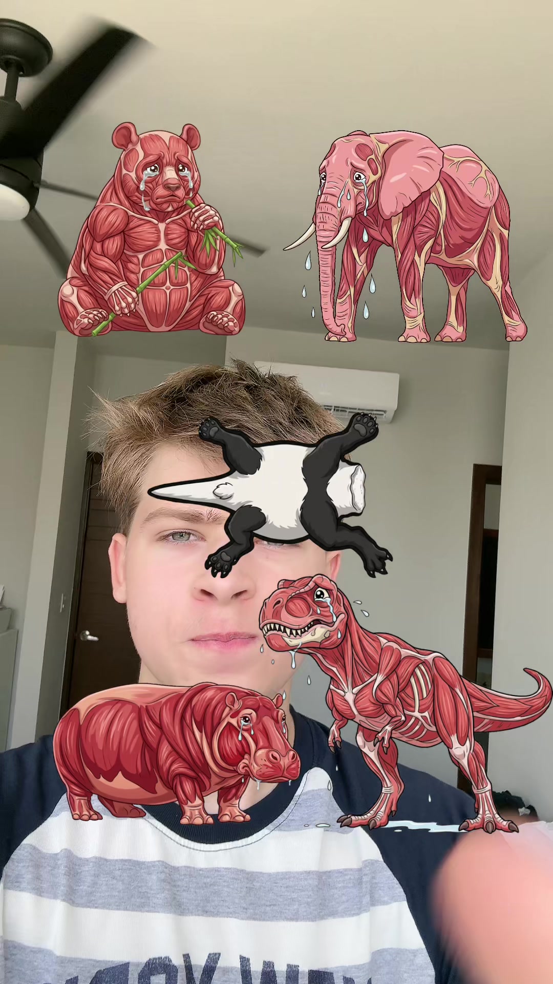 @AndrewHappy