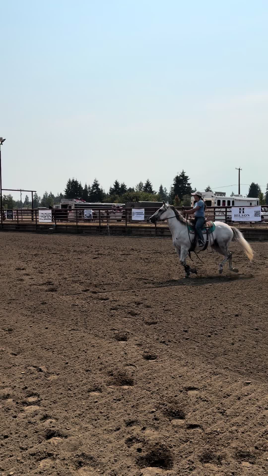 @TF Performance Horses