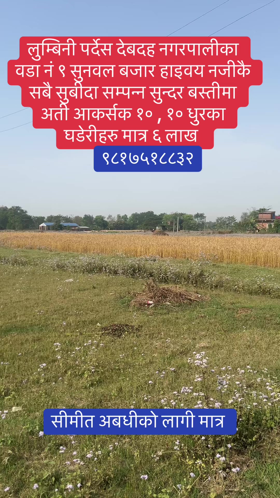 @Chetana Real Estate Pvt. Ltd