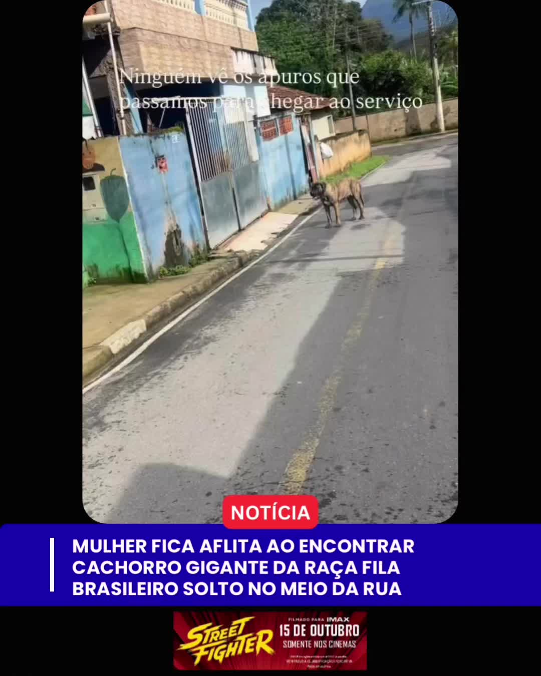 @Pablo Informa