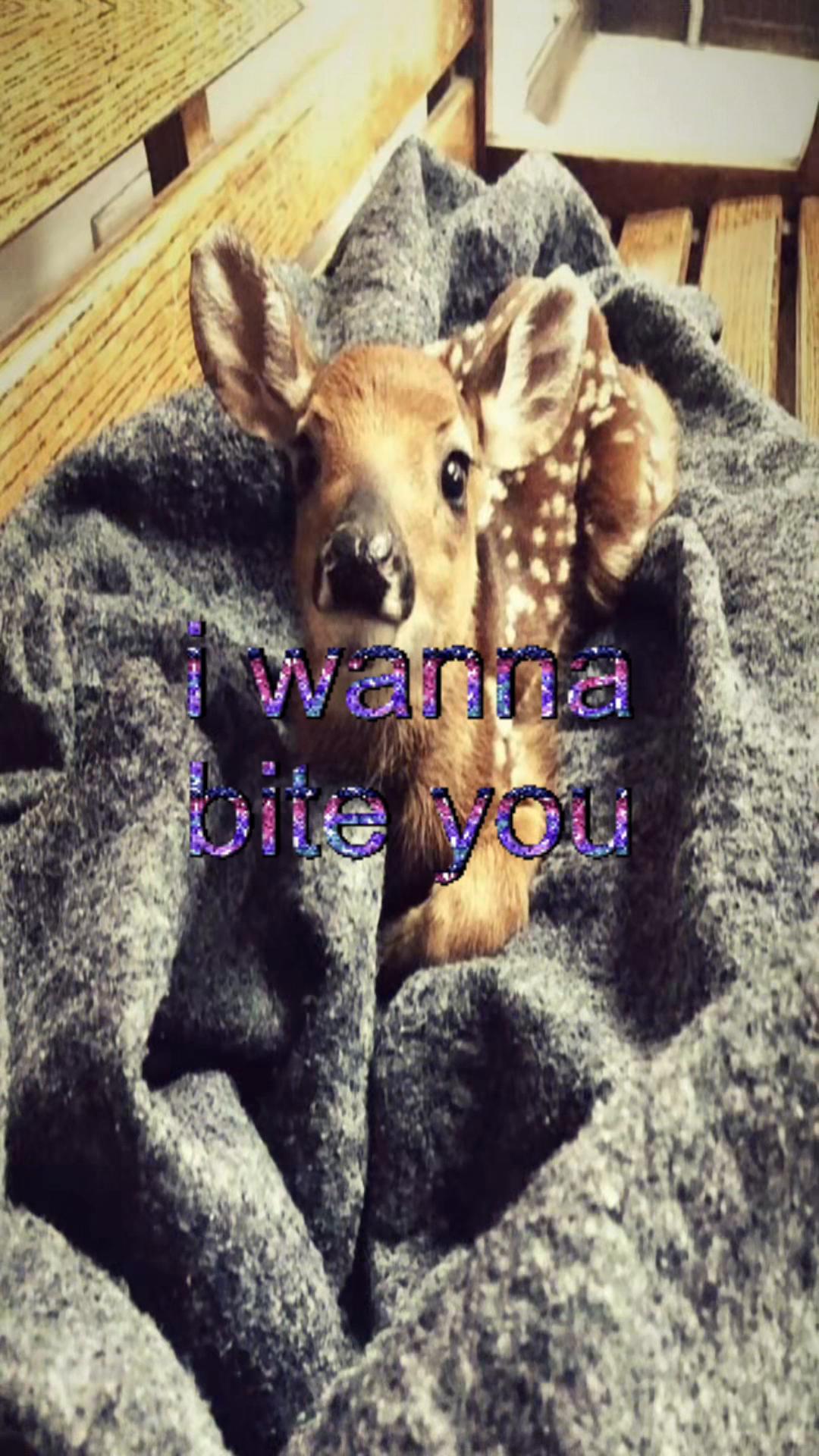 @livinlikedis