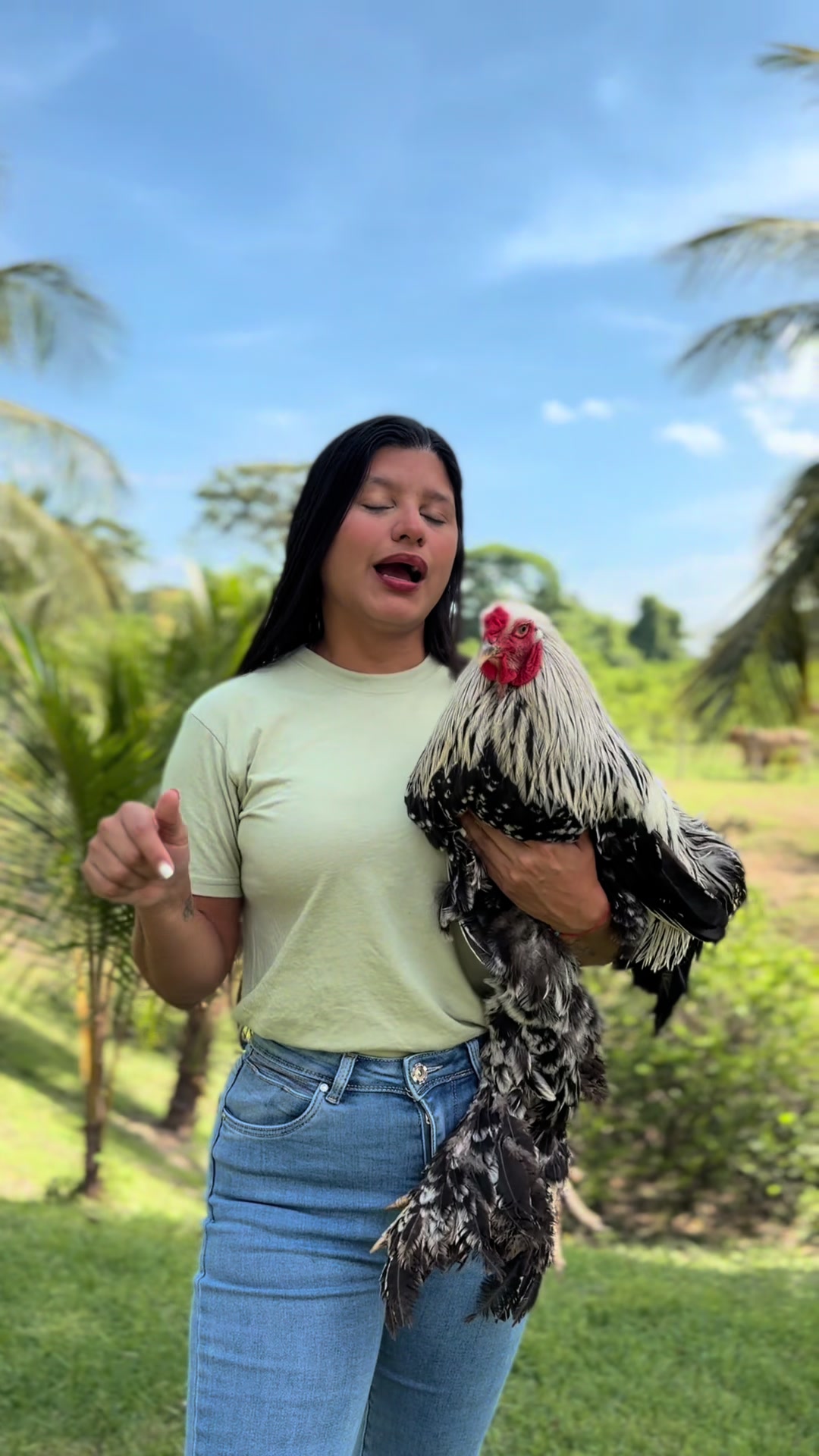 @Granjamascotalandiayaracuy