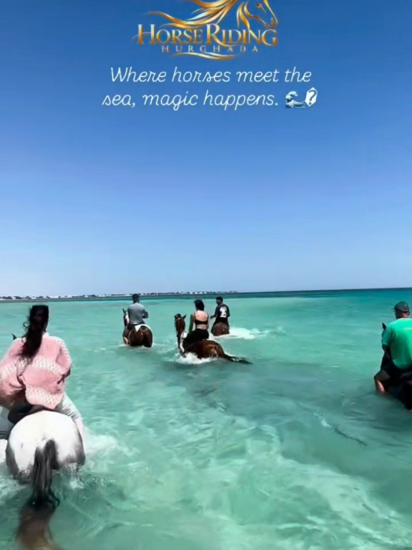 @streamhorse
