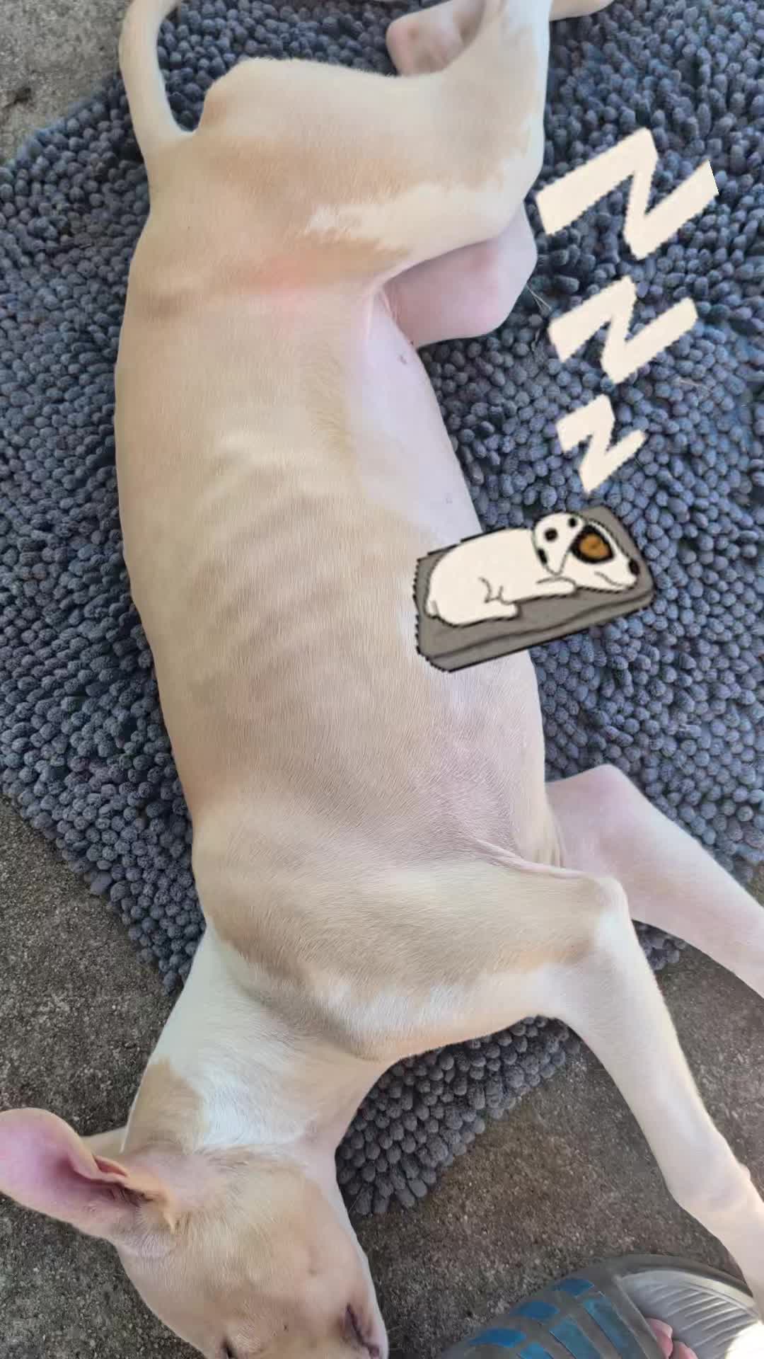 @Jplay