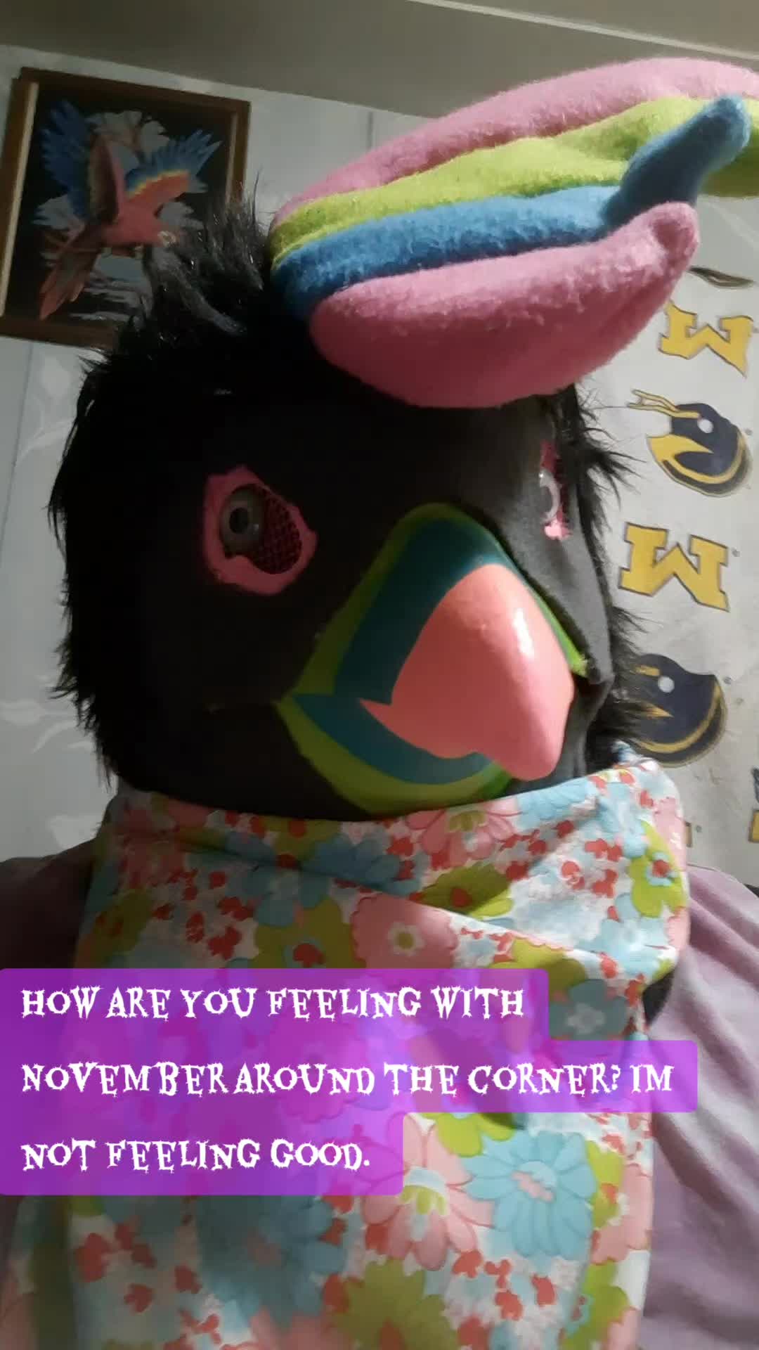 @fluff_ball_furry
