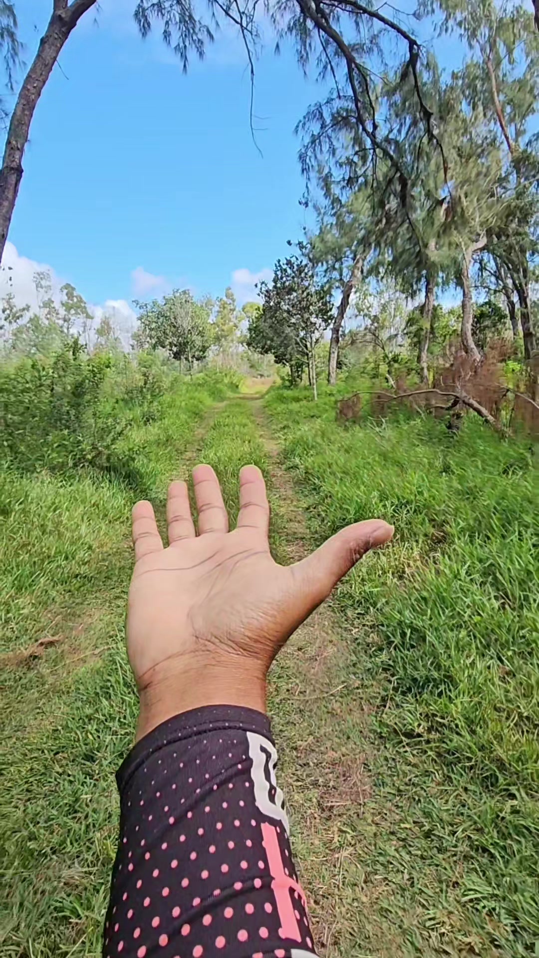 @Yassir Greenhike 🇲🇺
