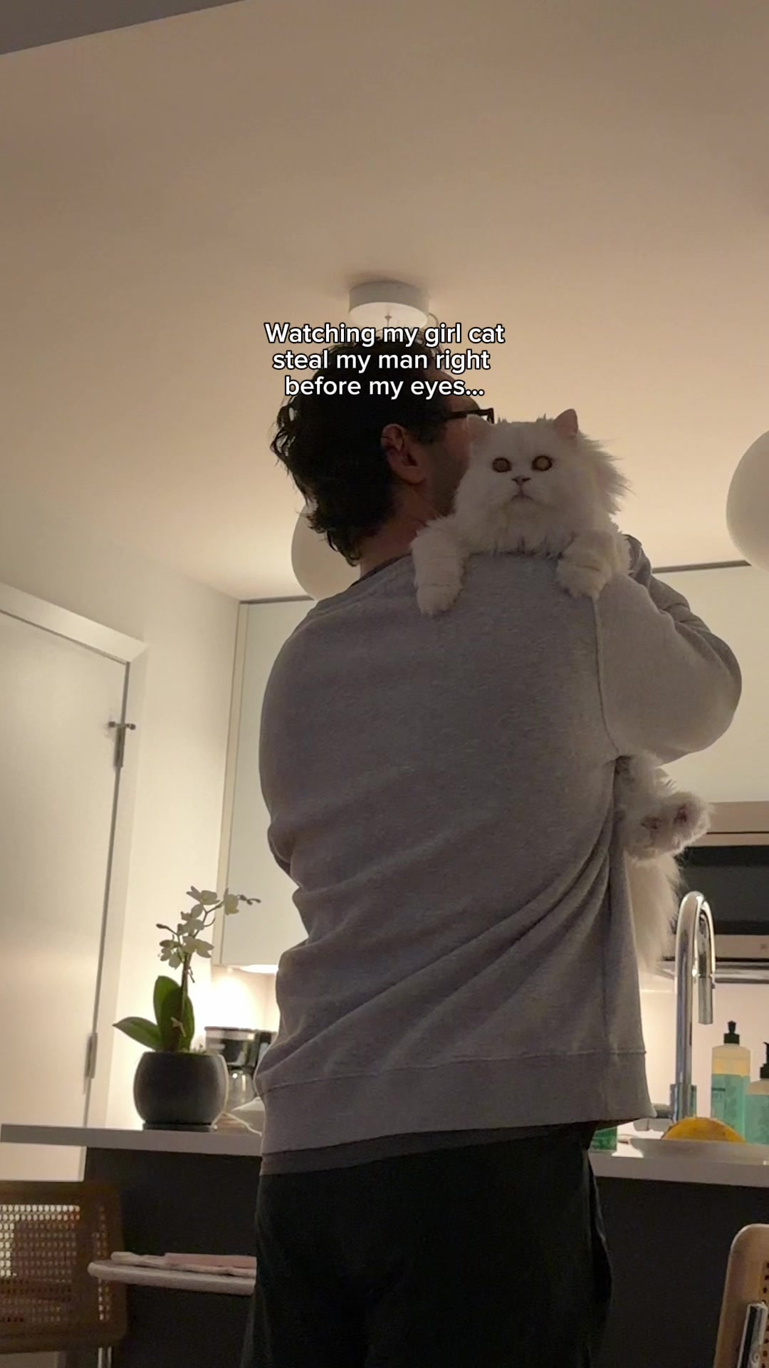 @Cleo the City Kitty