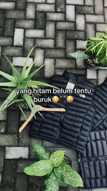 @Satria horse store