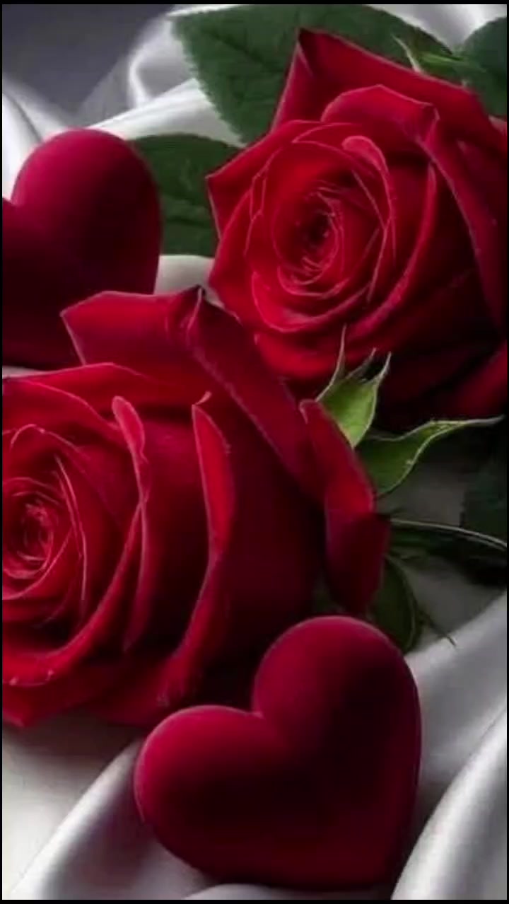 @user8123701182915. jan pakhi