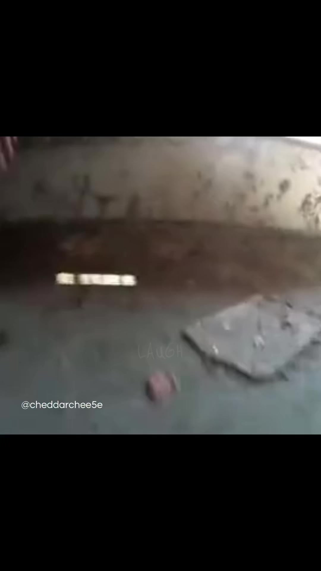@Luka Van Osdol