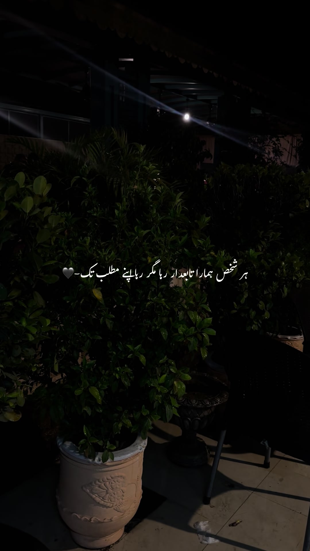 @𝐖𝚯𝐋𝐅 🐺