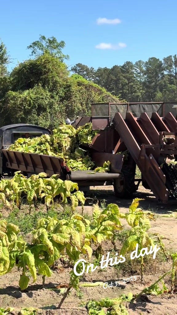 @Jwh farms