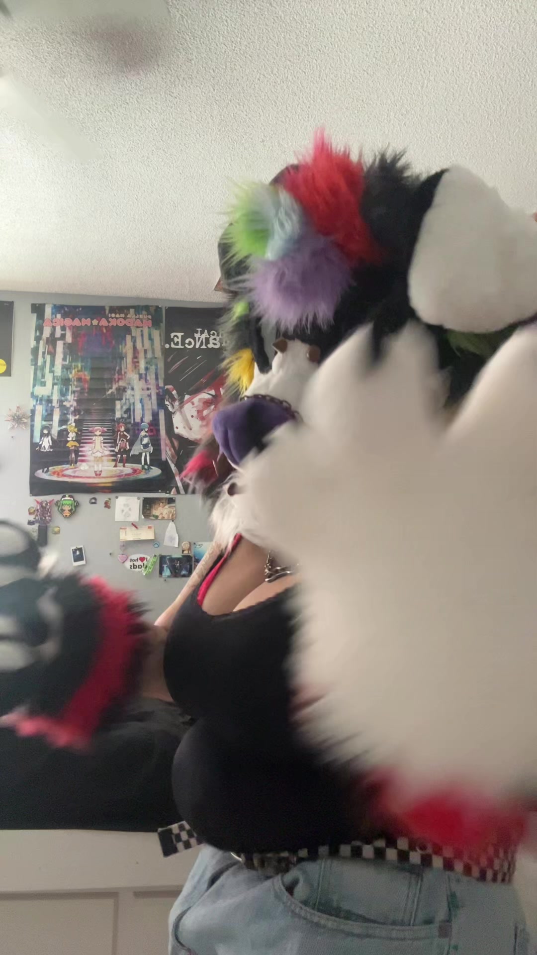 @🪽🌈 HOUND 🔜 MEGAPLEX 🐾