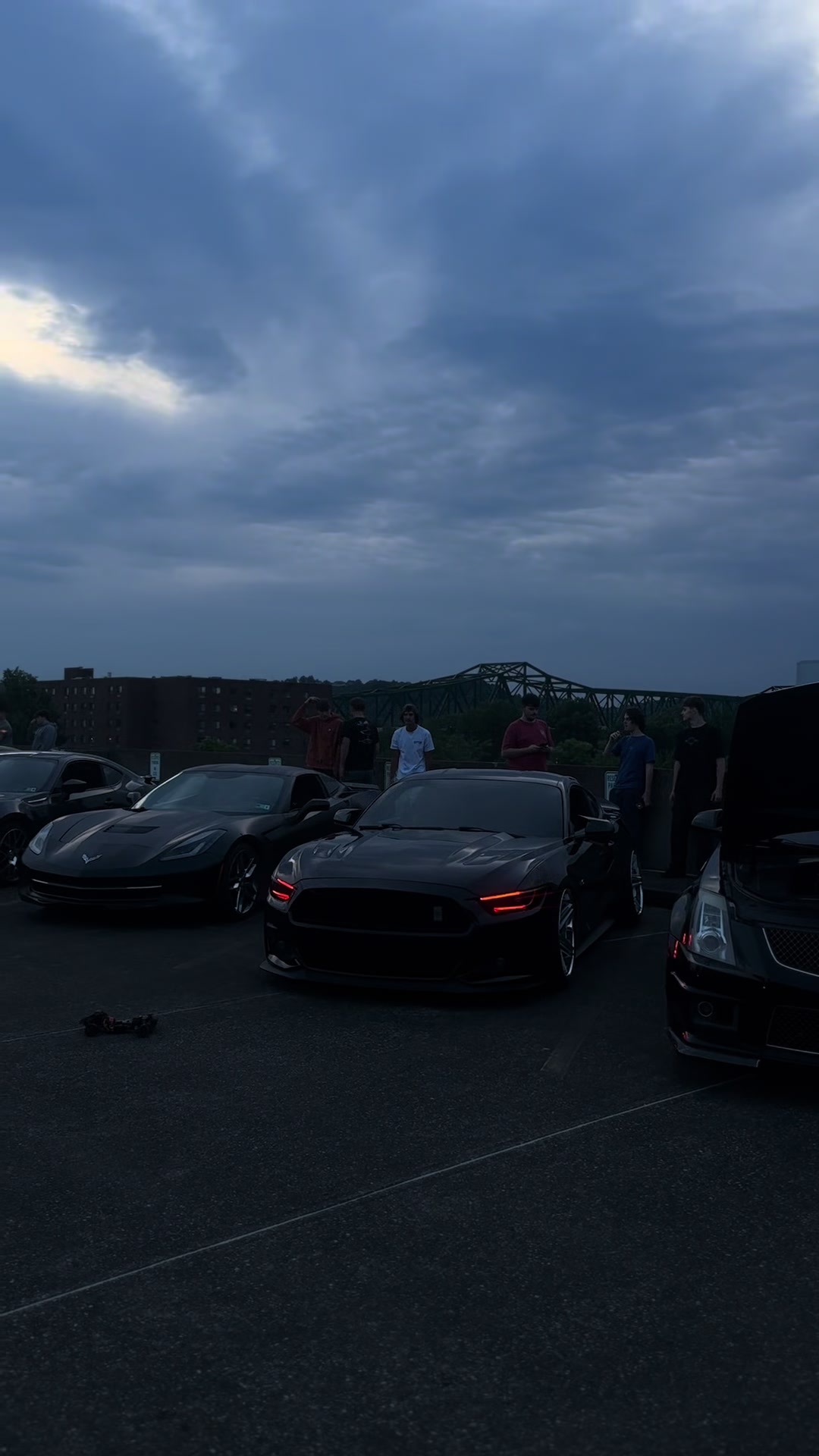 @blackout_coyote