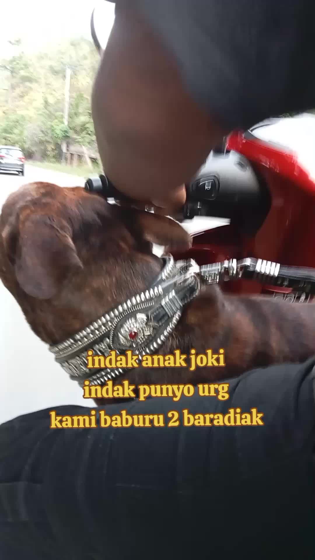 @Aldi nur