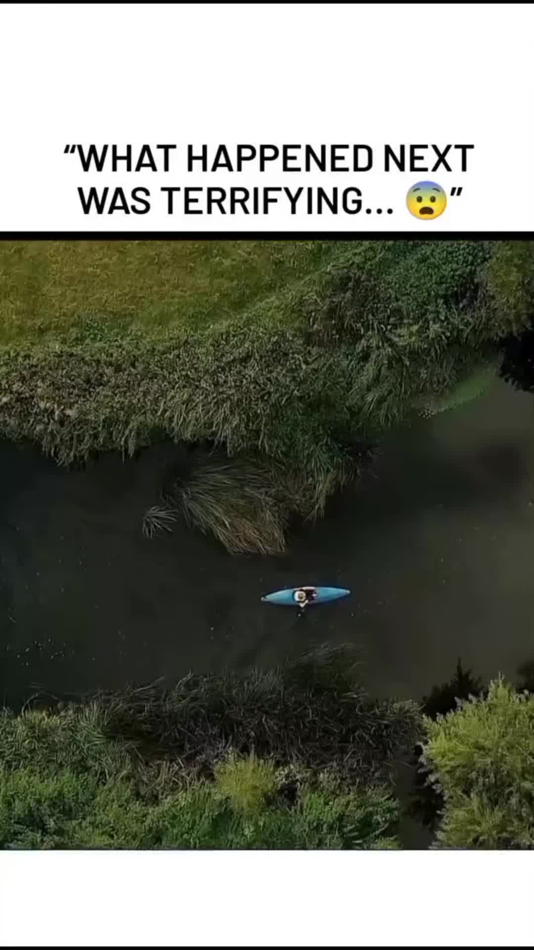 @SceneHunter