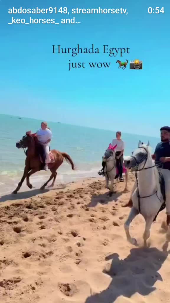 @streamhorse