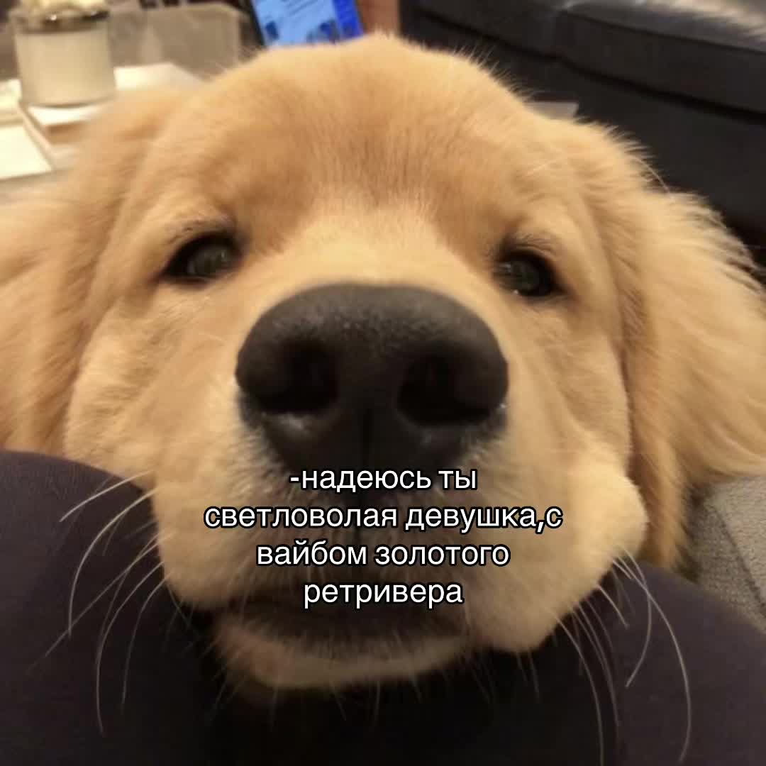@алиска🚬