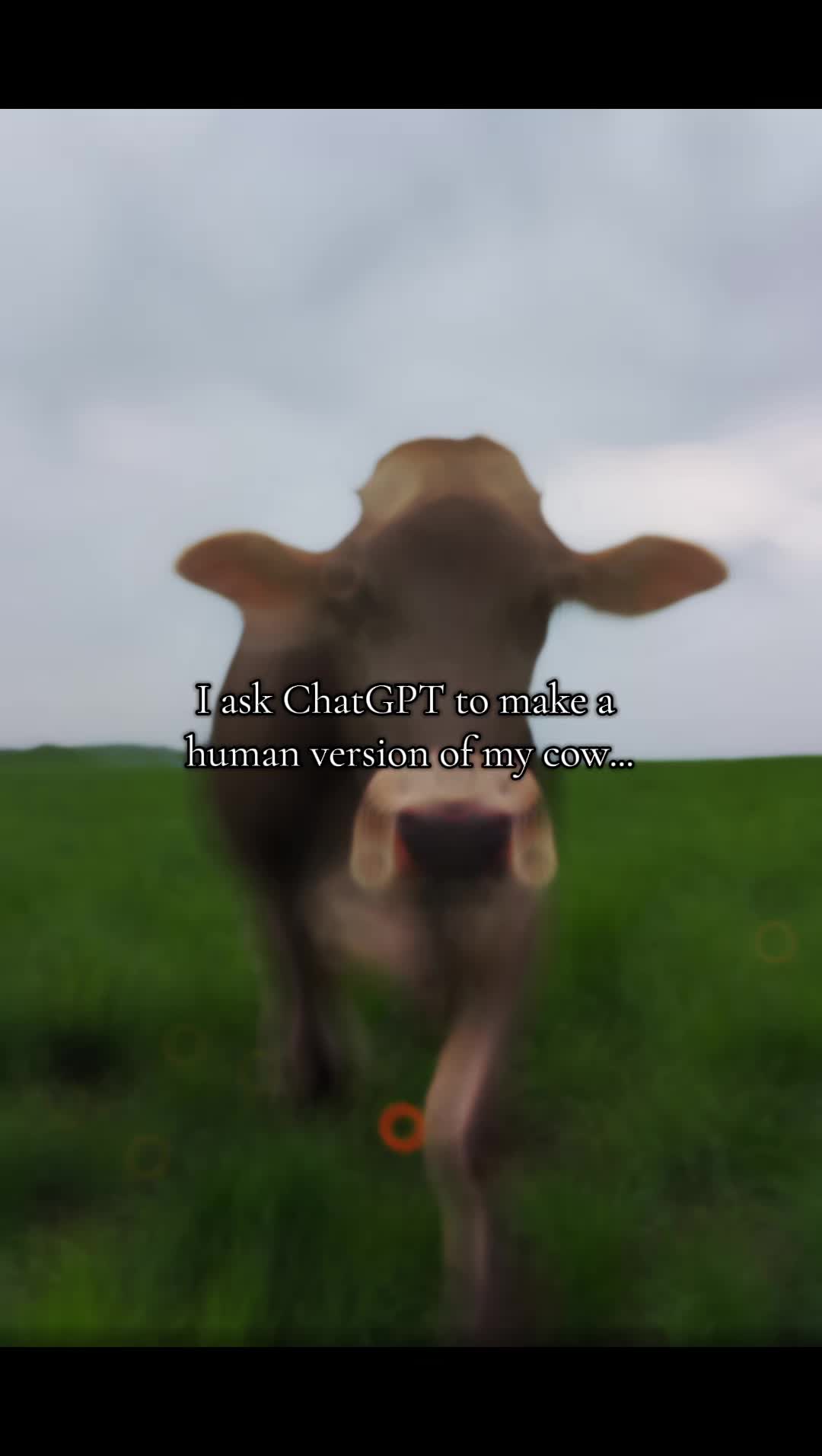@Lydia Charron | Ag Twin Mama