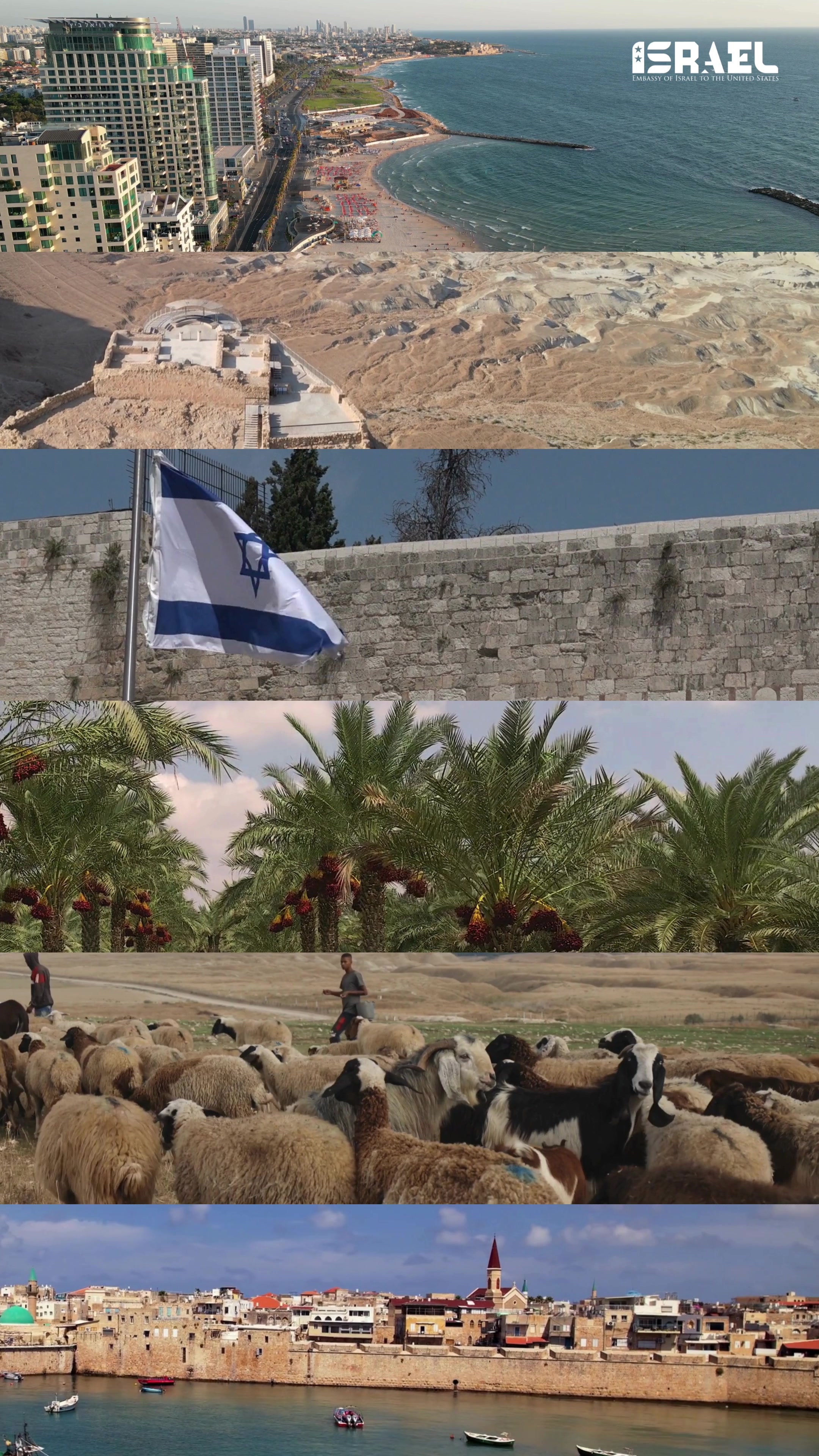 @Embassy of Israel