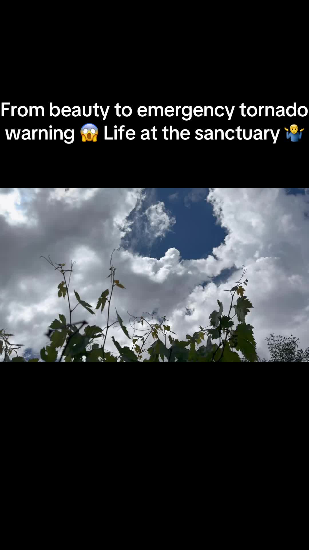 @G7 GuyOnTheRanch