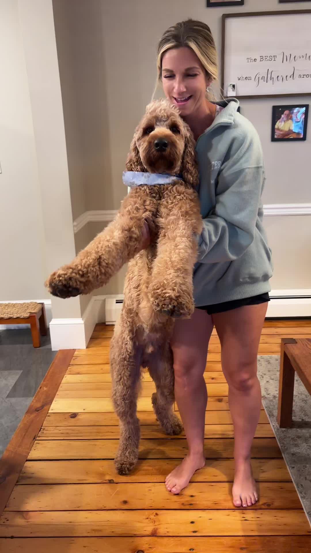 @tierneyalyssa
