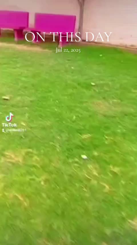 @&Atilde;nas Ůr Ȑehman
