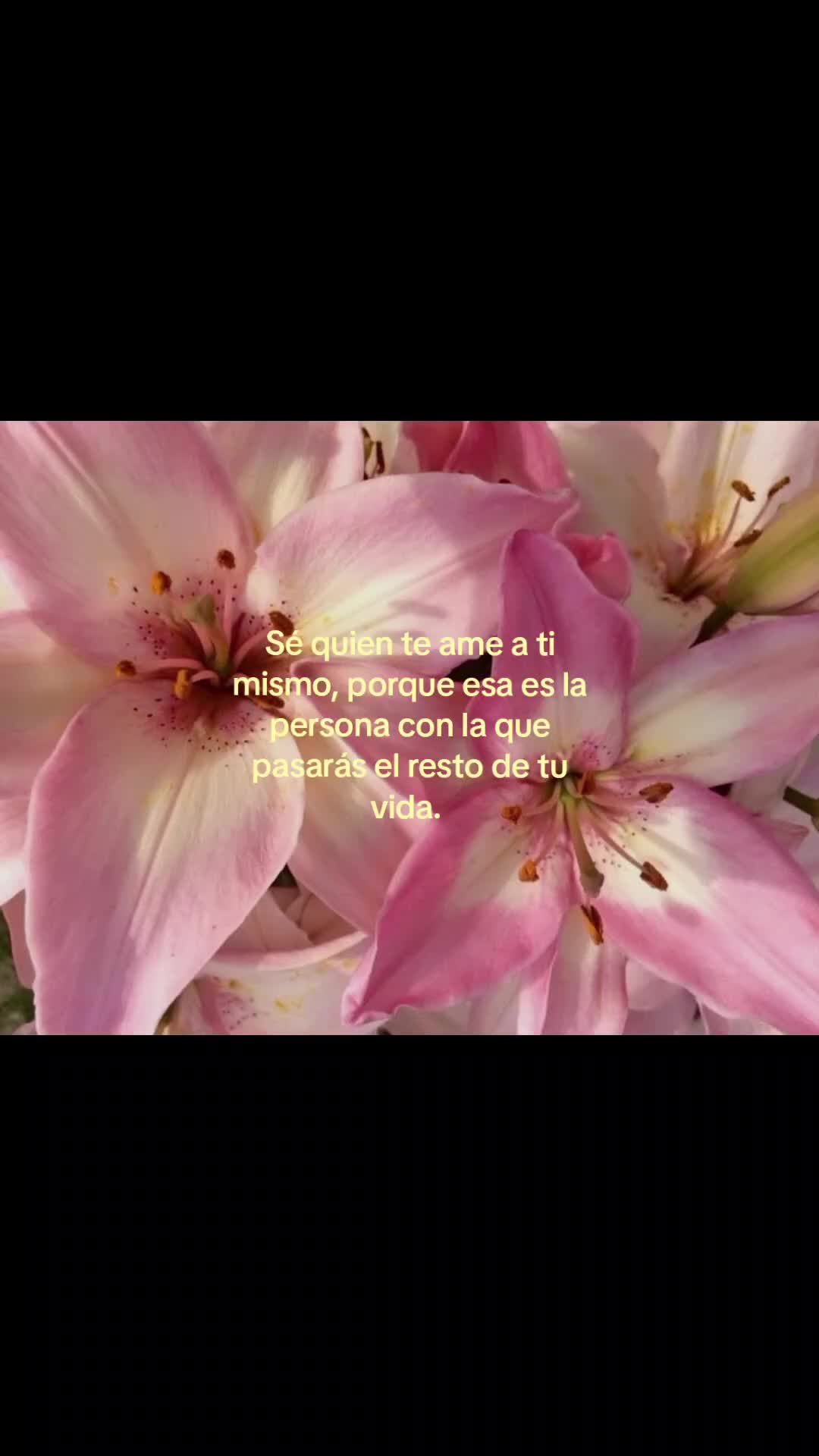 @°Lymar⁷°