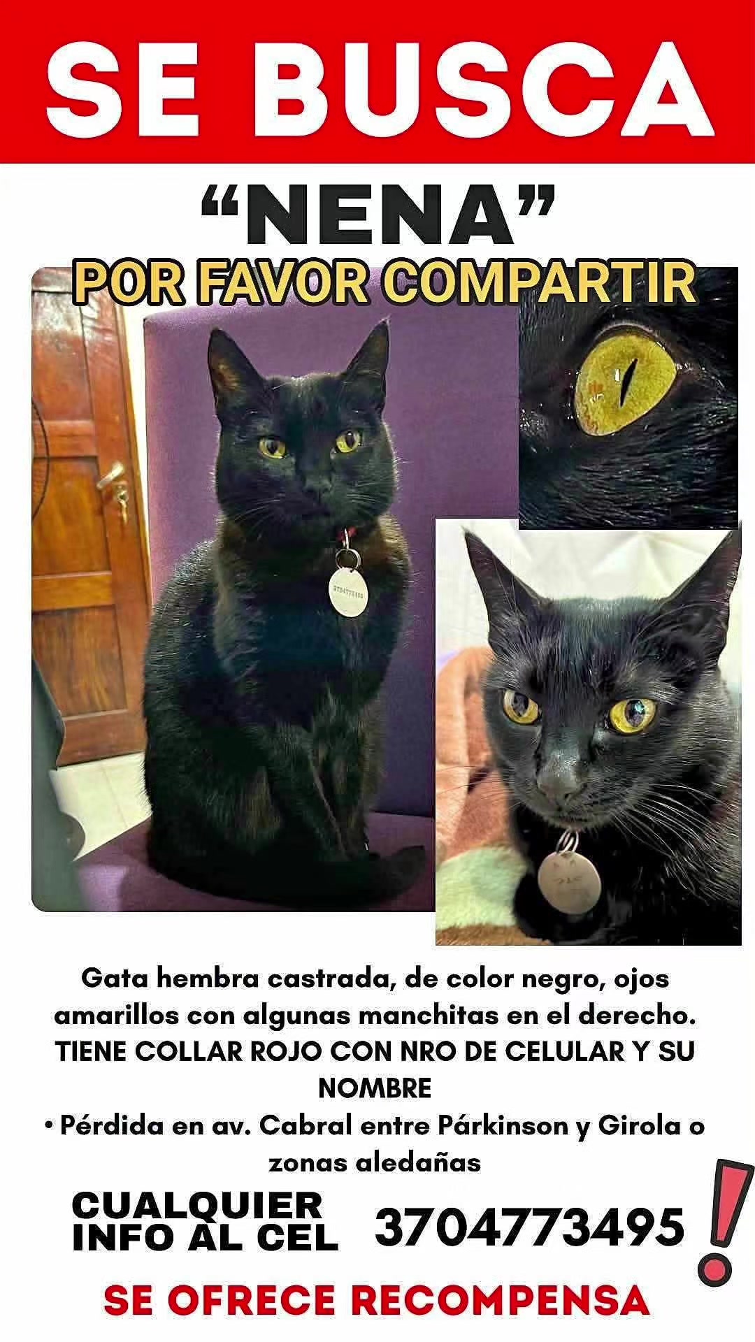 @Antonio Tyntu Ruiz