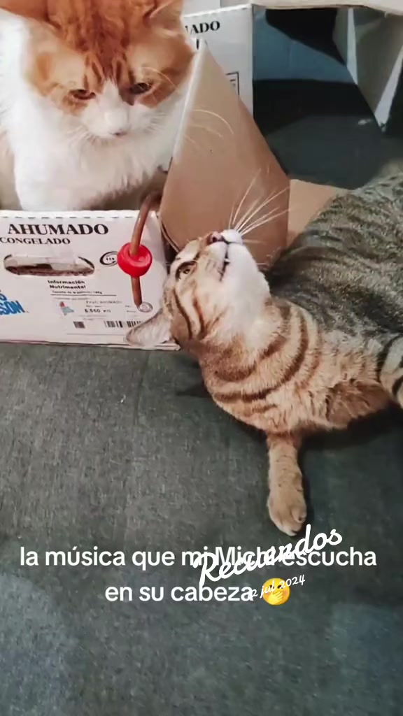 @Maribel Milla