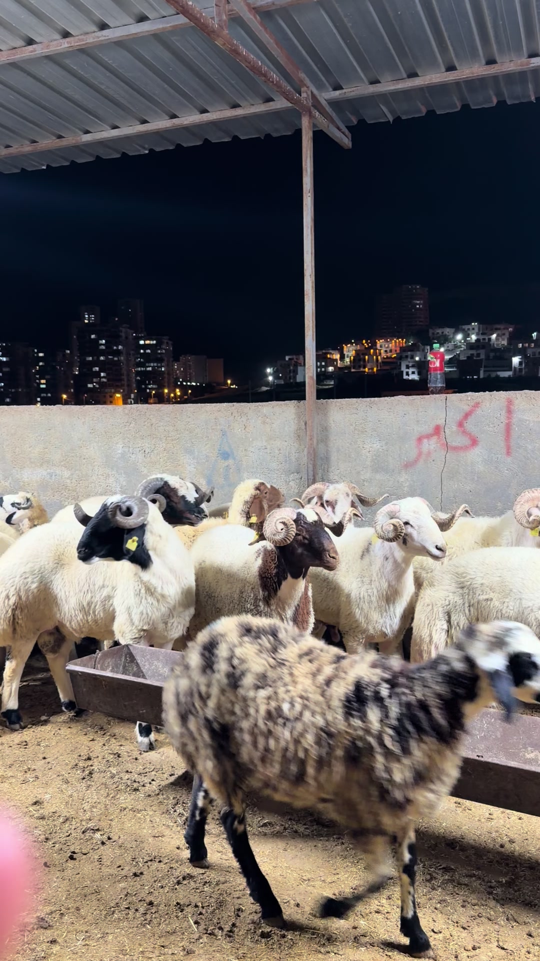 @Sefa cırık