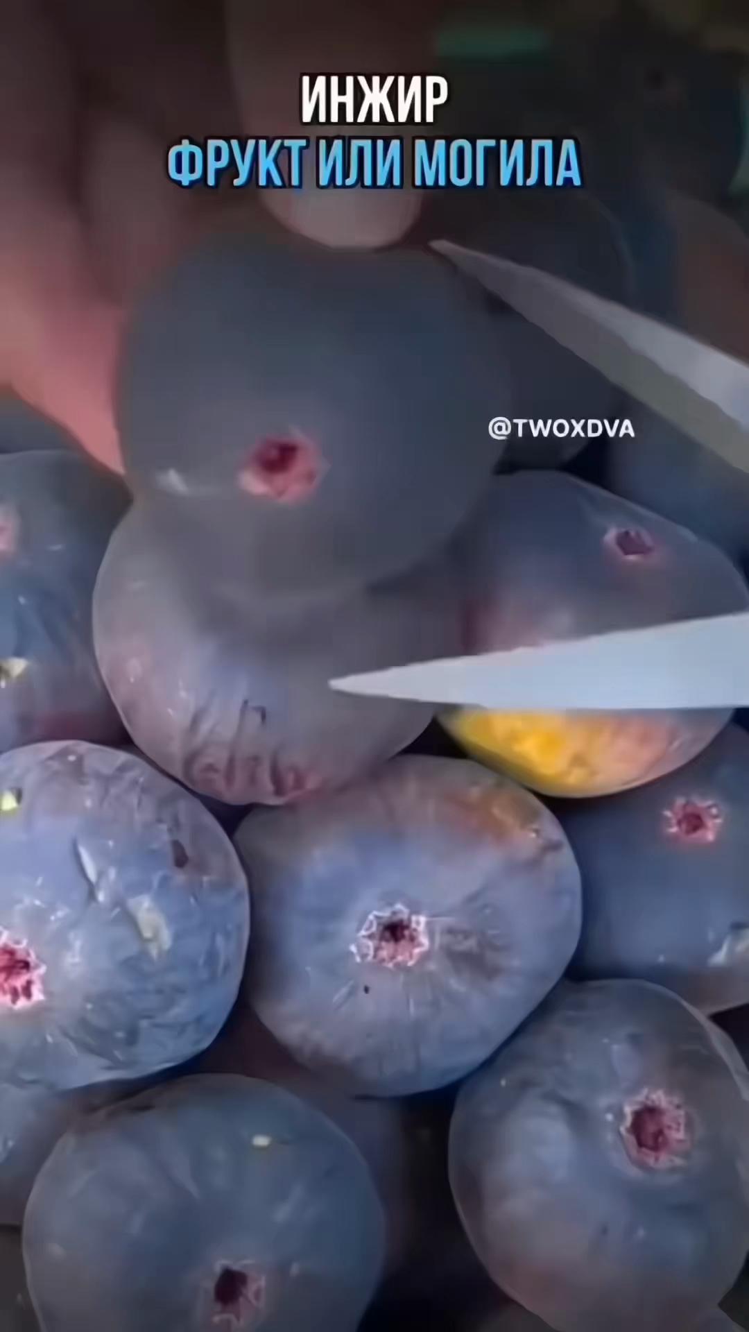 @тгк:мишуня рулит