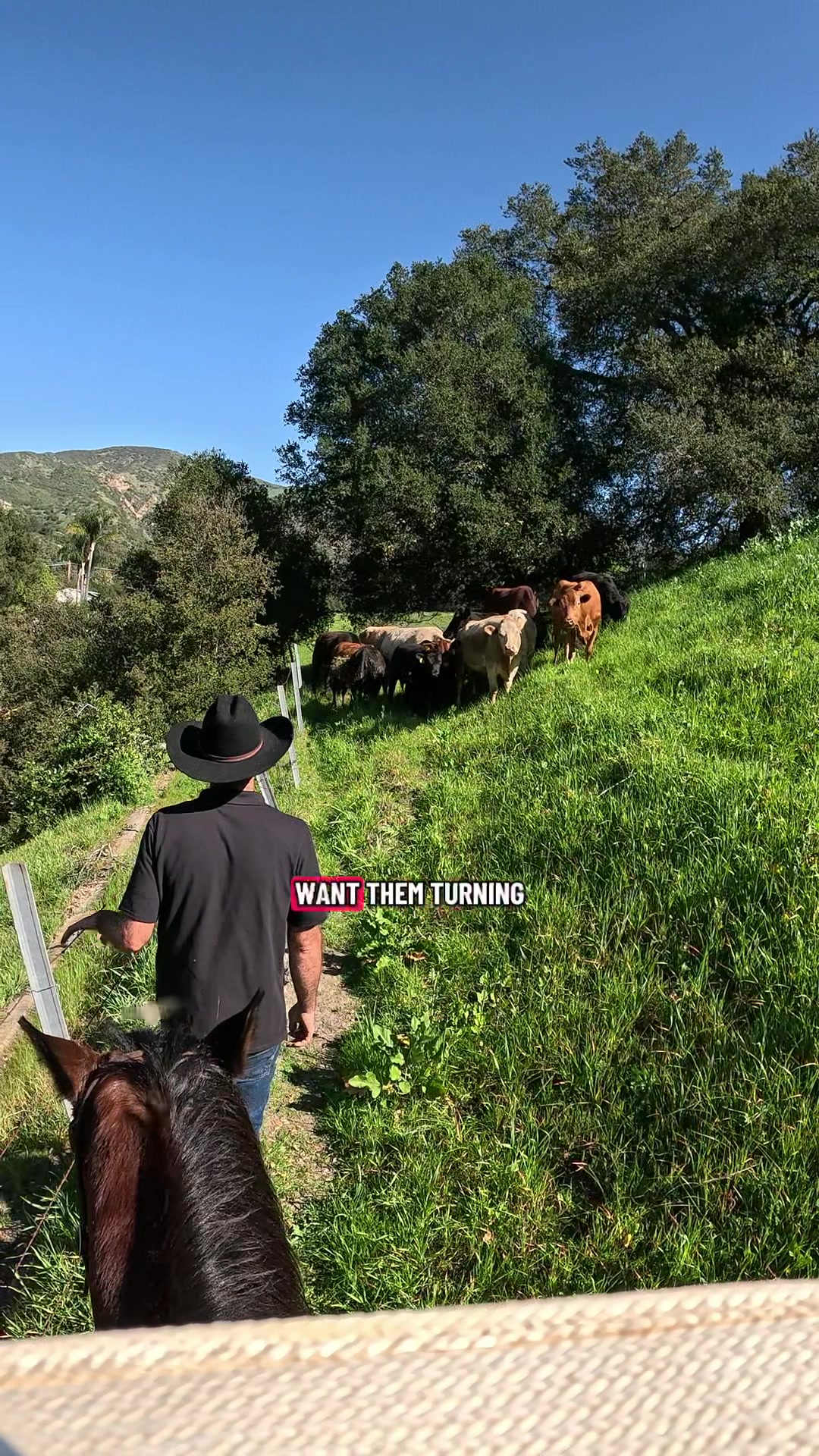 @myranchdiary