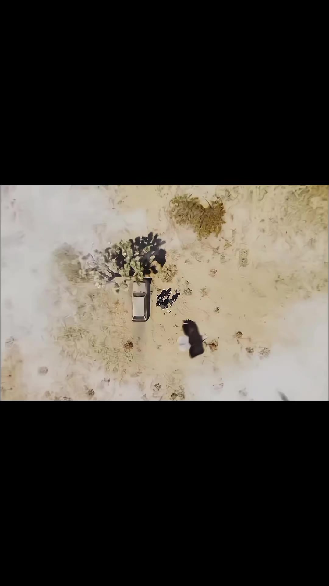 @Cỏ T&iacute;🦅🐕&zwj;🦺🐢🦊🐶