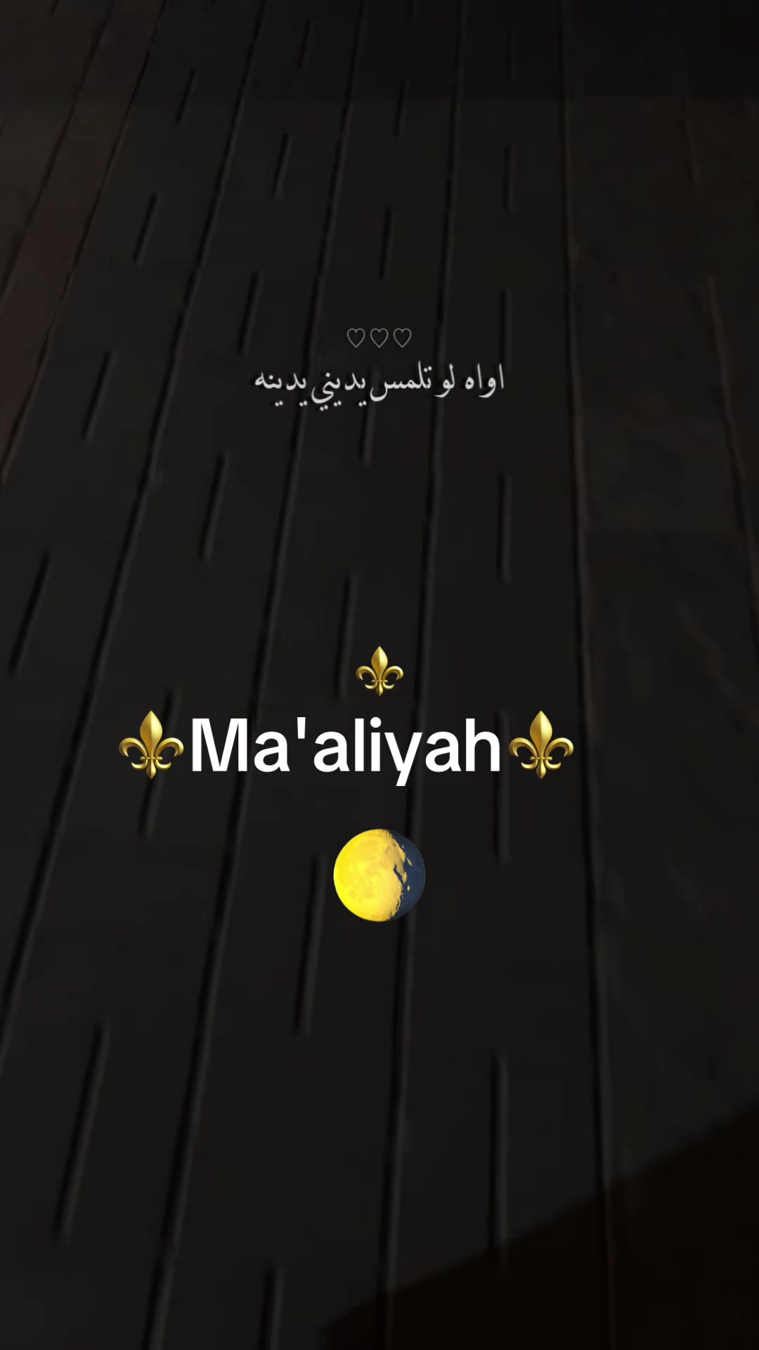 @Ma'aliyah🐆🐆🌕