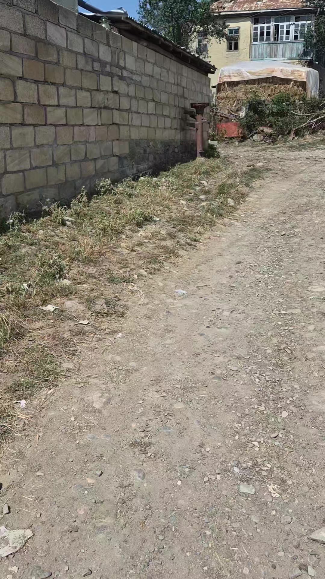 @tiktok