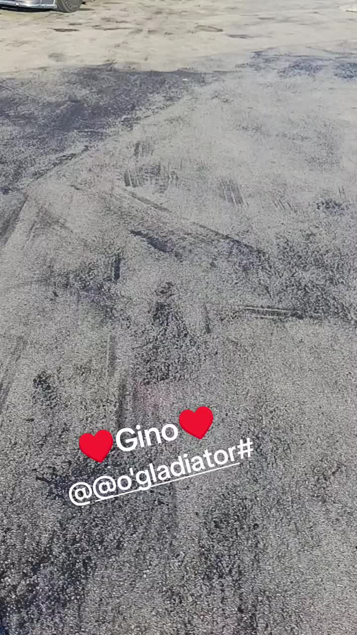 @@o'gladiator