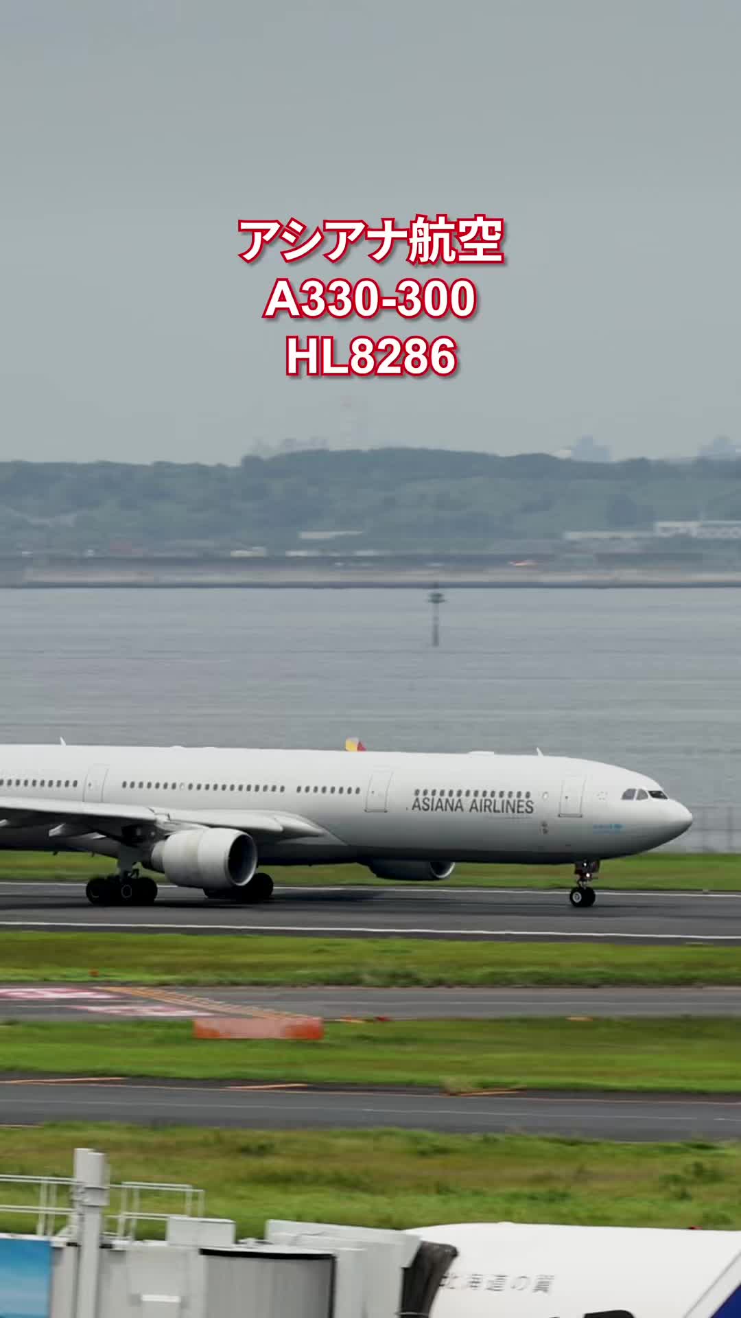 @Skyline だ〜はね|Haneda Airport ✈️