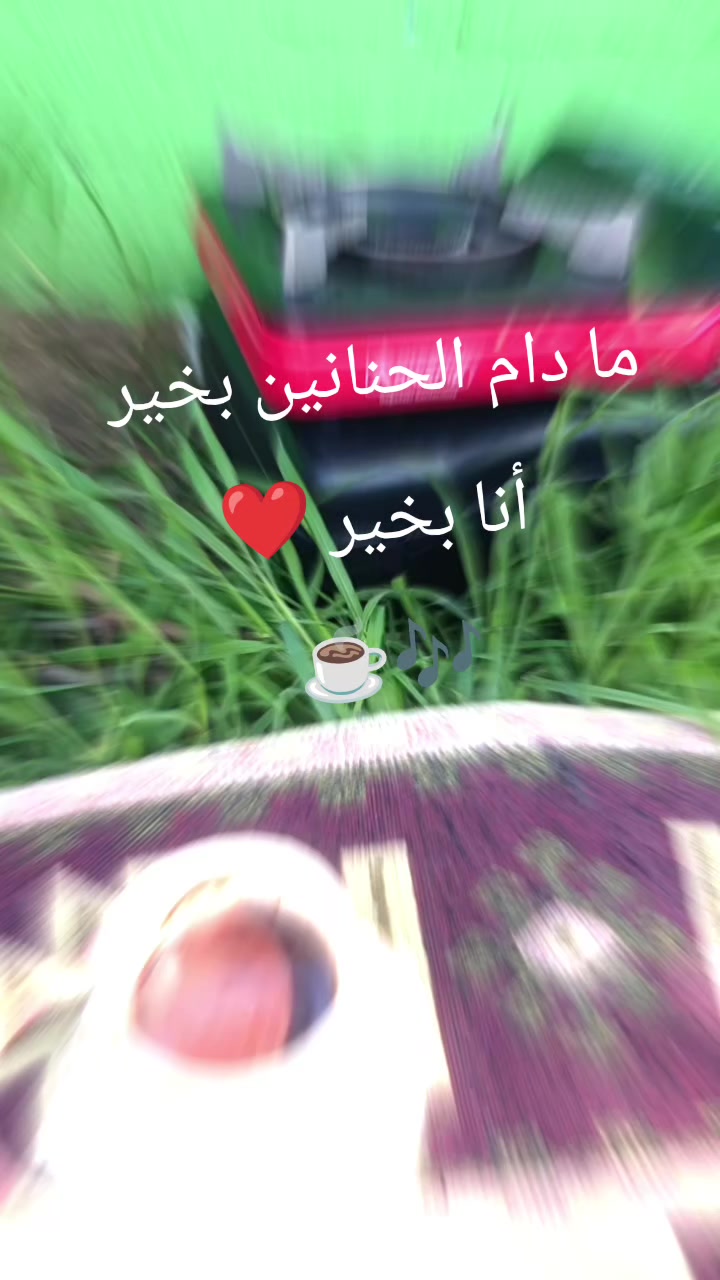 @صہٰۣمہتہٰۣ ألأشہٰتيہٰاق🕊️🍃