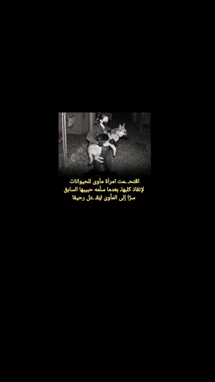 @Doaa
