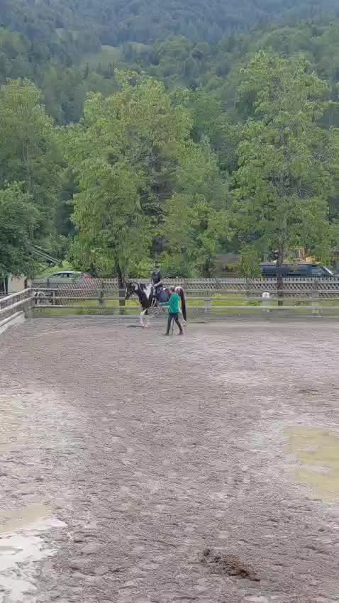 @Mountain Hill Ranch 🇦🇹