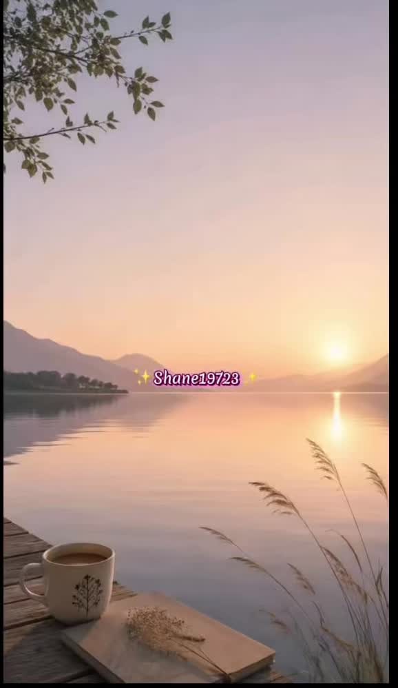 @Shane 19723