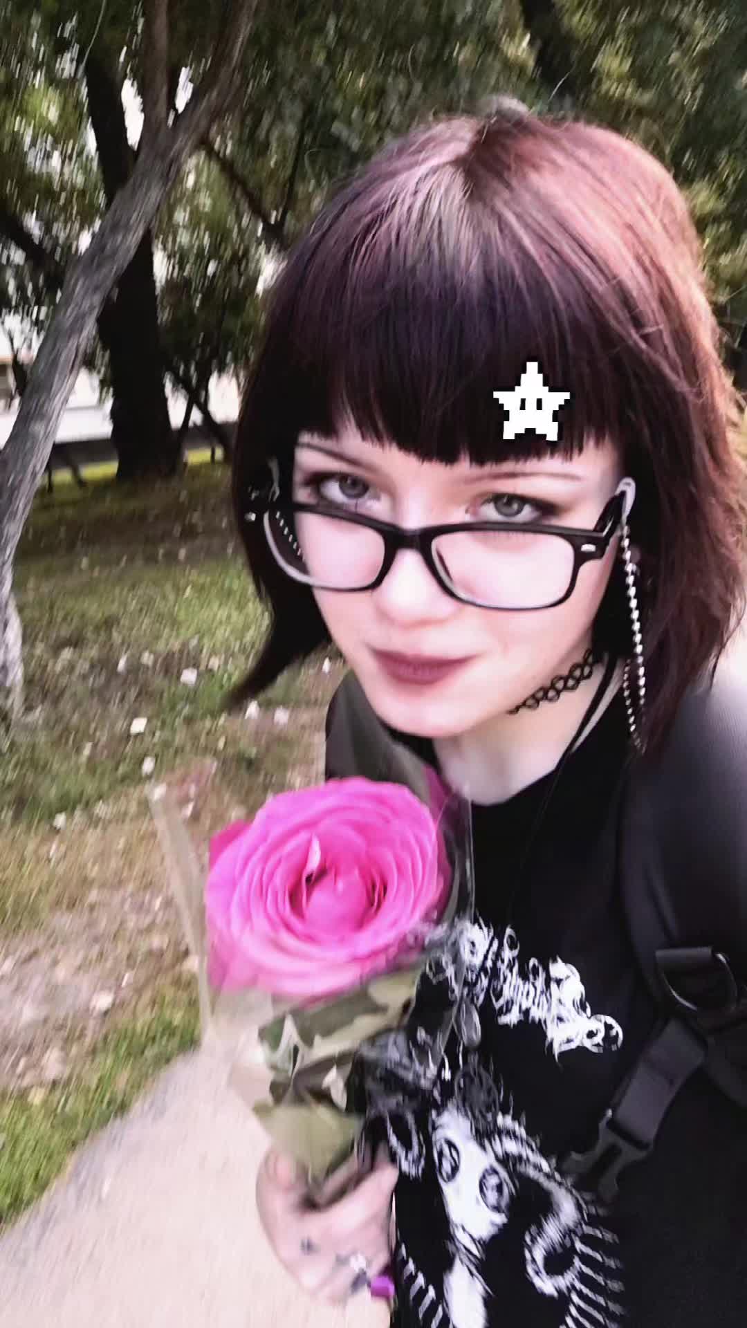 @death in sun