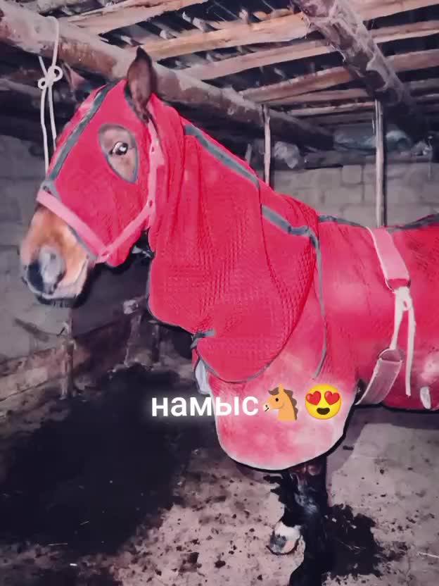 @бары жакшы болот буюурса