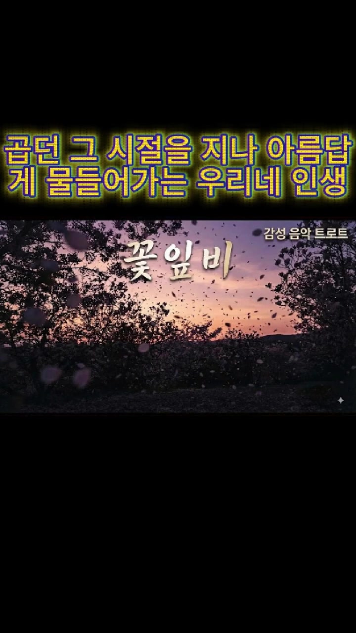 @감성 음악 트로트