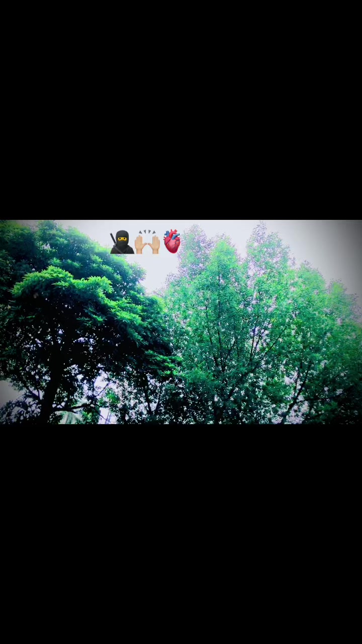 @🦋&hearts;️Farhan سید بادشاہ🎭🍓